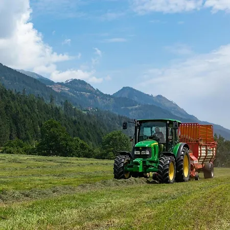 Brunner - Im Hühnerhotel