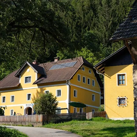 Brunner - Im Hühnerhotel Apartment *