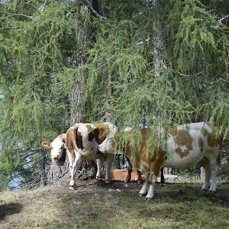 Apartamento Brunner - Im Hühnerhotel