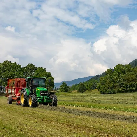 Brunner - Im Hühnerhotel Apartamento 3*