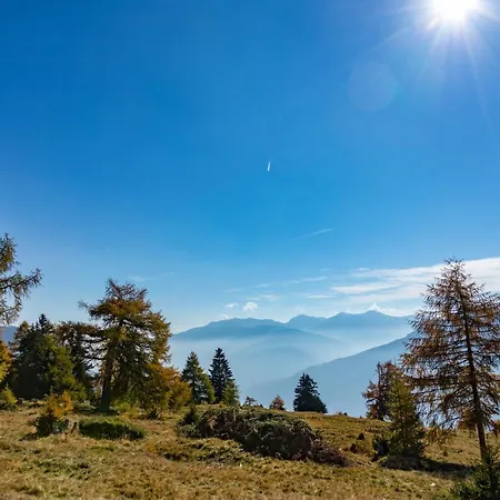 Brunner - Im Hühnerhotel Unterkolbnitz