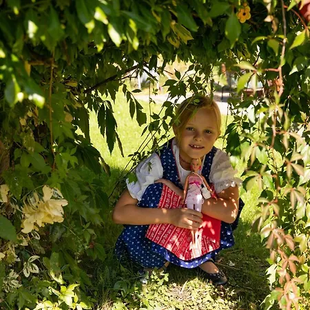 Brunner - Im Huehnerhotel Unterkolbnitz