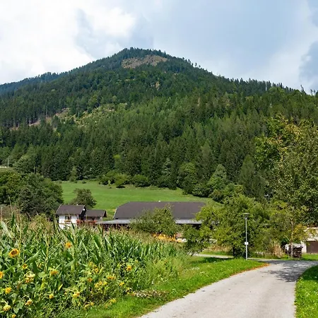 Brunner - Im Huehnerhotel Apartment *