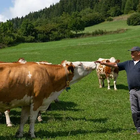 Apartamento Brunner - Im Hühnerhotel 3*