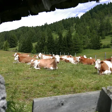 Apartamento Brunner - Im Hühnerhotel Unterkolbnitz