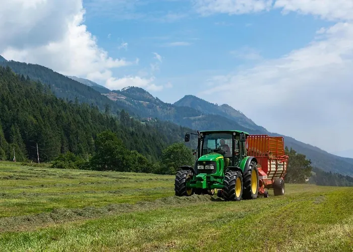 Brunner - Im Hühnerhotel