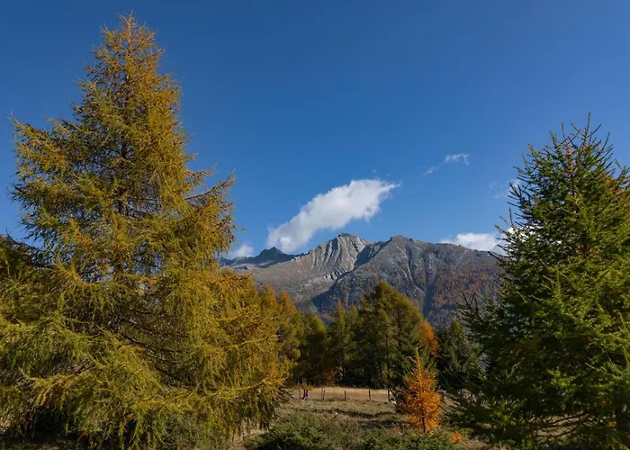 Brunner - Im Hühnerhotel Apartment Unterkolbnitz