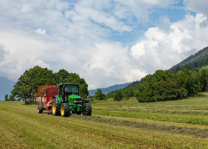 Brunner - Im Hühnerhotel Apartment 3*