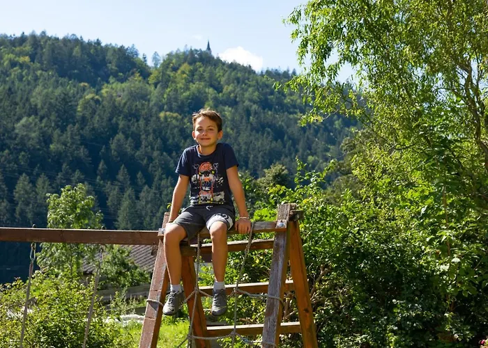 Apartment Brunner - Im Hühnerhotel