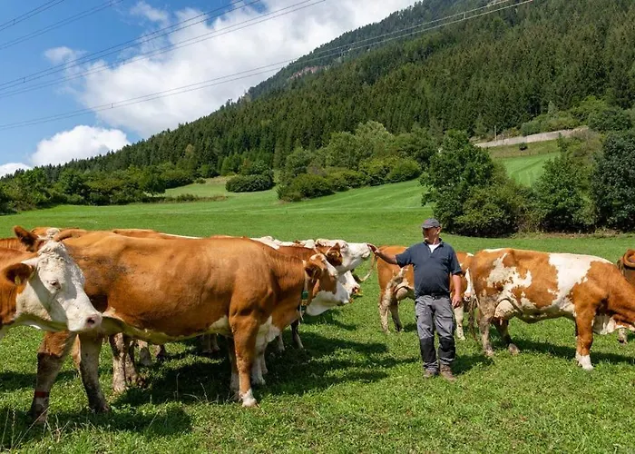 Brunner - Im Hühnerhotel Apartment Unterkolbnitz
