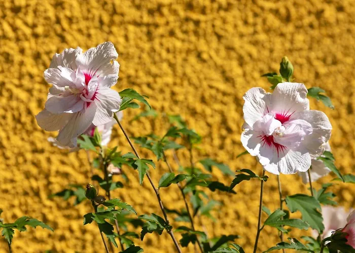 Brunner - Im Hühnerhotel Apartment 3*