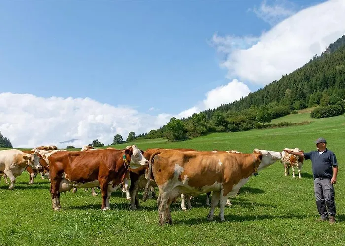 Brunner - Im Hühnerhotel Apartment