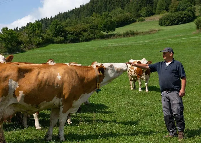 Apartment Brunner - Im Hühnerhotel 3*