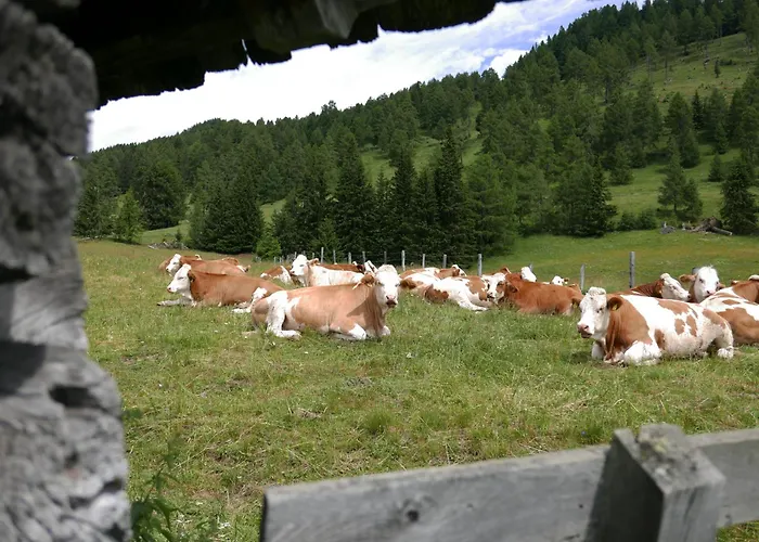Apartment Brunner - Im Hühnerhotel Unterkolbnitz
